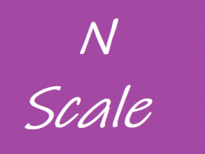 N scale